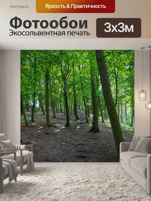 Фотообои лес