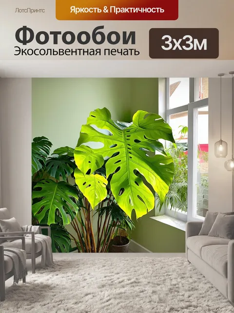Фотообои пышная монстера с большими, ярко-зелеными листьями, расположенная в ярком, солнечном углу комнаты