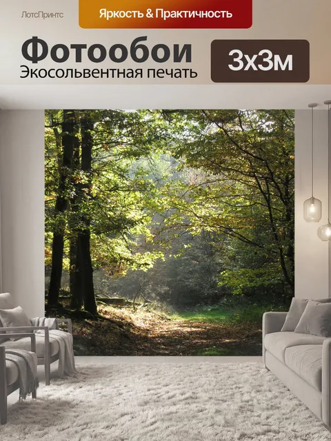 Фотообои Лес