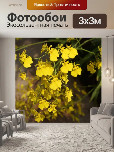 Фотообои Орхидея