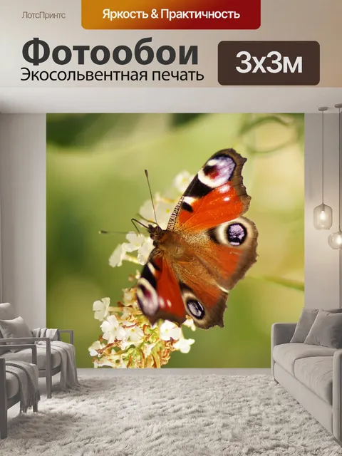 Фотообои Бабочка