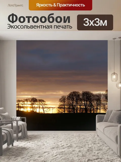 Фотообои Деревья