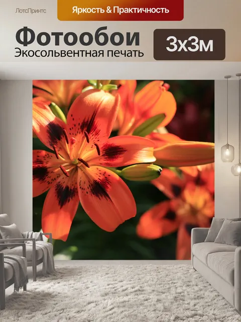 Фотообои Два Оранжевый цветы лилии