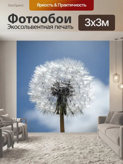 Фотообои Одуванчик