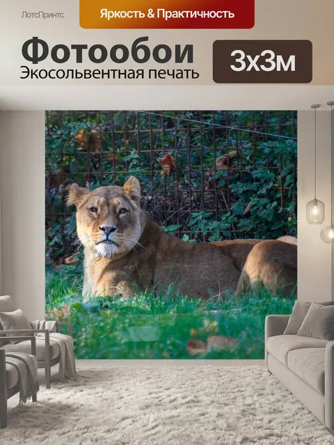 Фотообои Лев