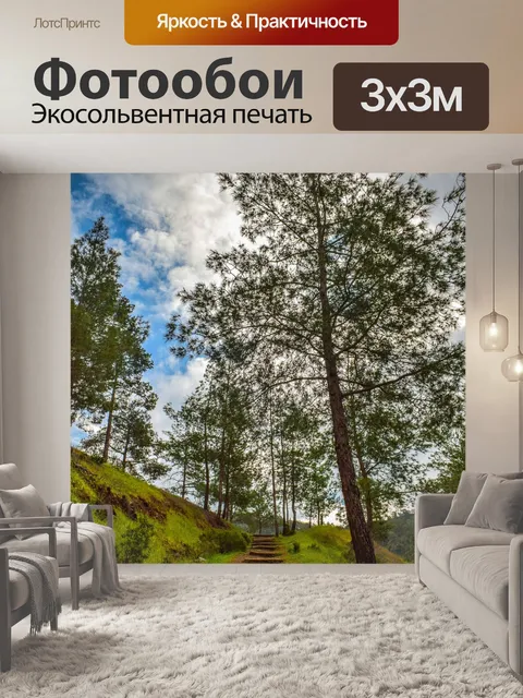 Фотообои Дорожка