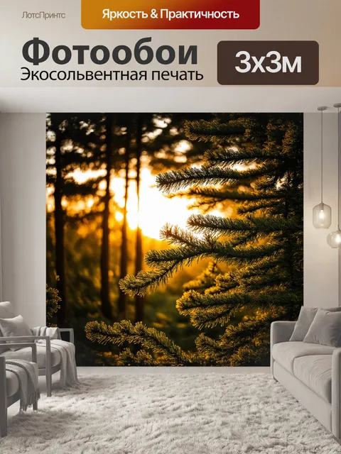 Фотообои лес сосен, вырастивших множество колец, видно на фоне яркого заката, лучи которого проникают через верхушки…