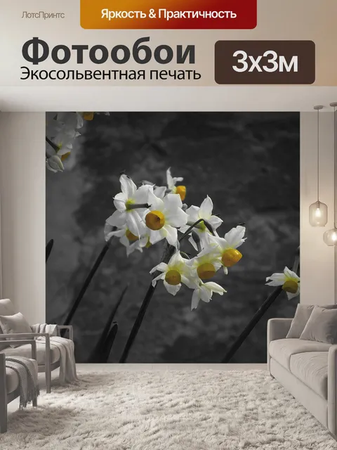 Фотообои Нарцисс тазетта