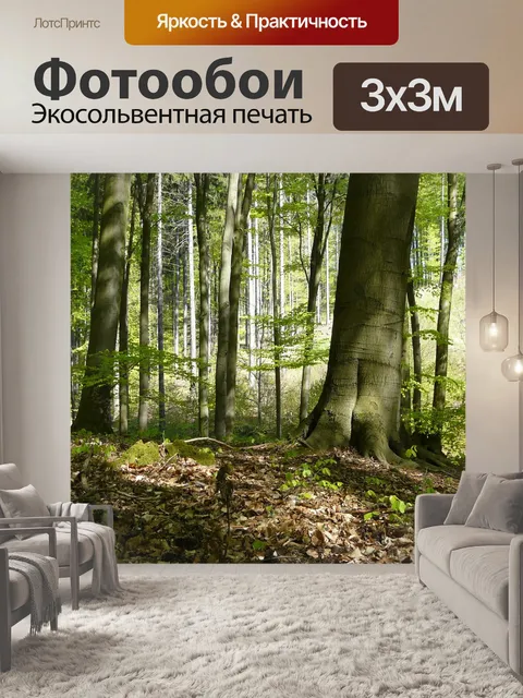 Фотообои Лес