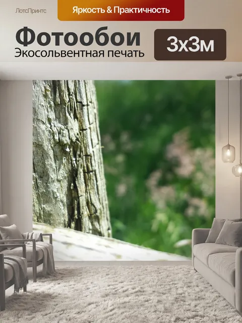 Фотообои Забор