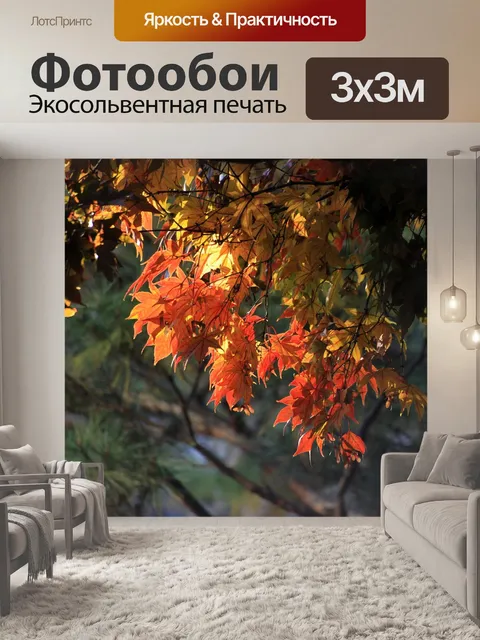Фотообои Осенние листья