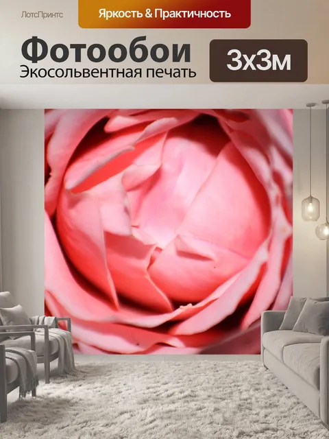 Фотообои Розовая роза 2