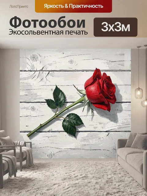 Фотообои Красная роза на белом фоне