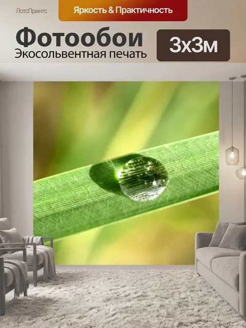 Фотообои Капля воды на листе