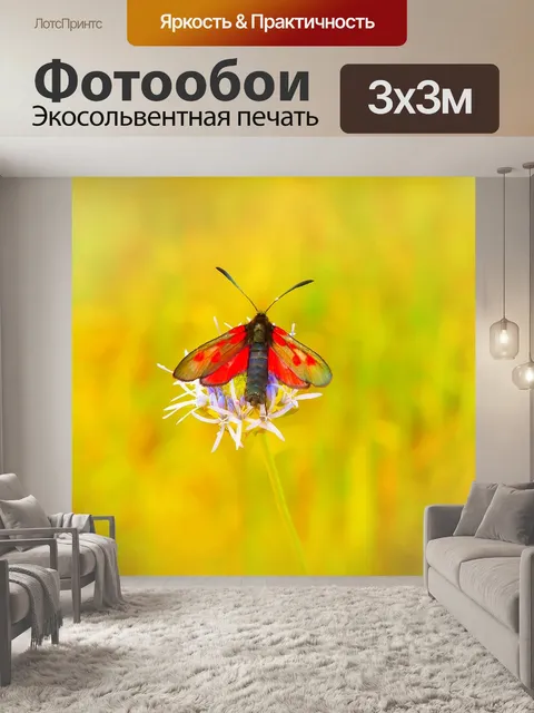 Фотообои Красник pięcioplamek