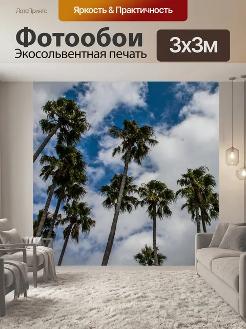 Фотообои Пальмы, облака и голубое небо
