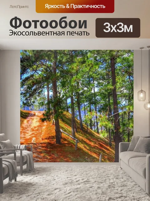 Фотообои Дорожка