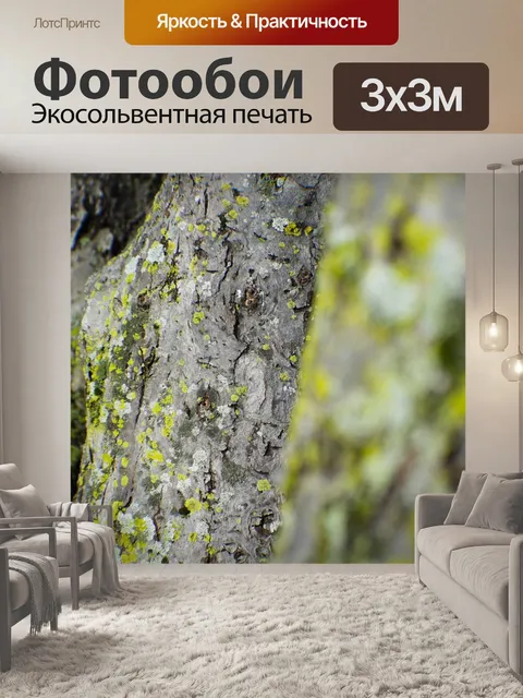Фотообои Лаять