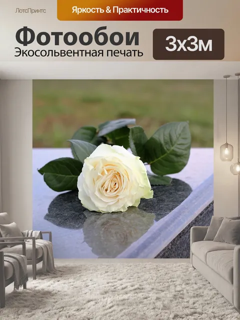 Фотообои Белая роза