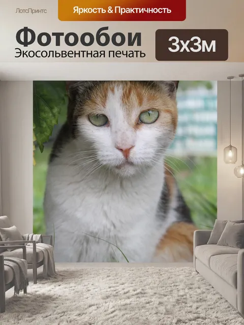 Фотообои Природа
