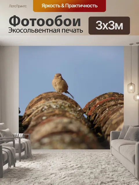 Фотообои Воробей