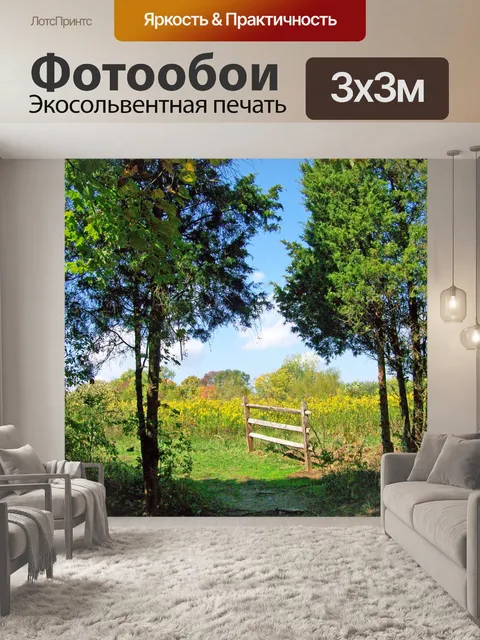 Фотообои Путь в поле