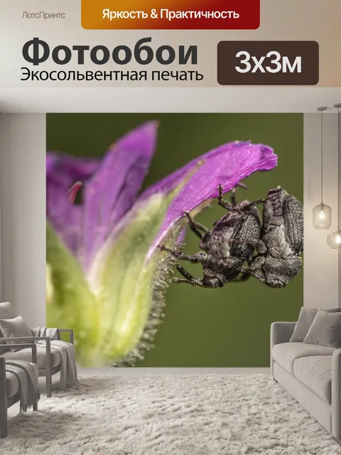 Фотообои Крупный план