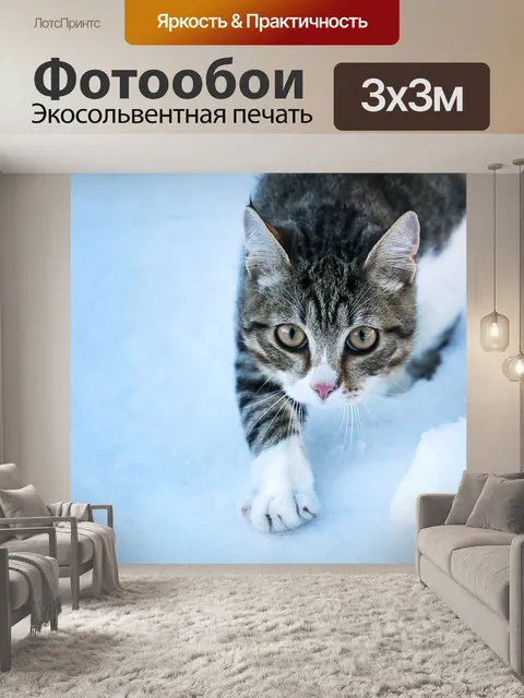 Фотообои Кошка