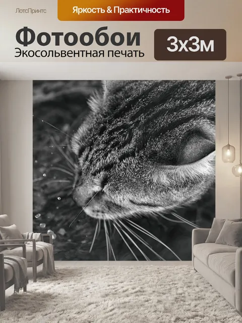 Фотообои Машина