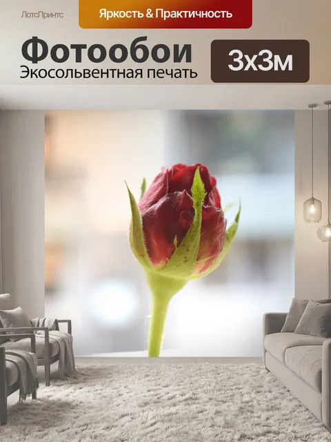 Фотообои Цветок