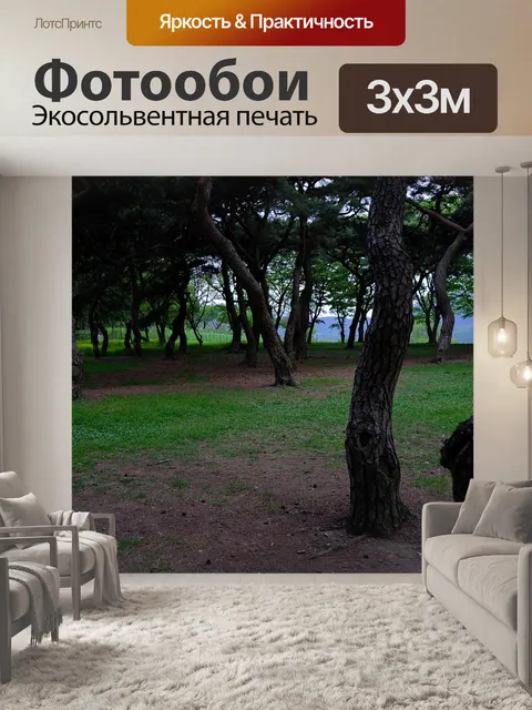 Фотообои Дерево