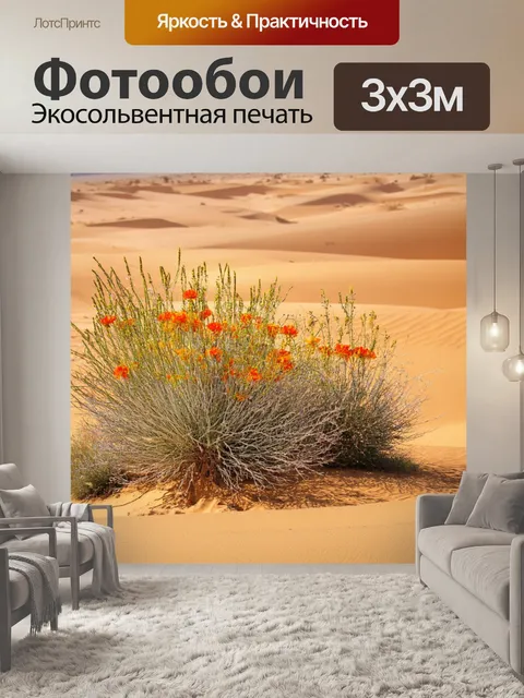 Фотообои египет, уникальные цветы и растения пустыни, выделяющиеся на фоне песка
