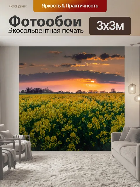 Фотообои Закат