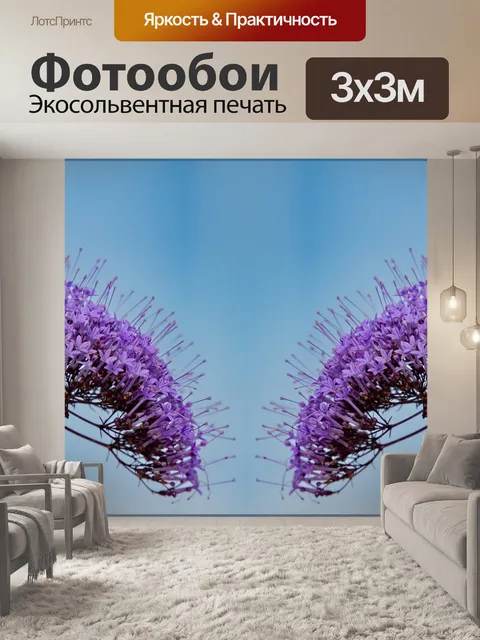 Фотообои Цветок синего горла,