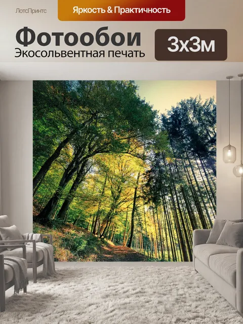 Фотообои Лес