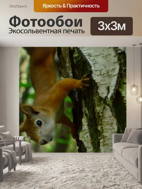 Фотообои Животные