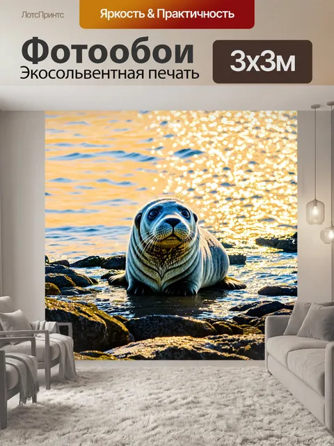 Фотообои изображение серого тюленя