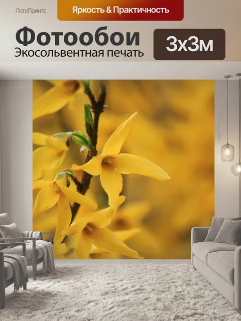 Фотообои Форсайтия