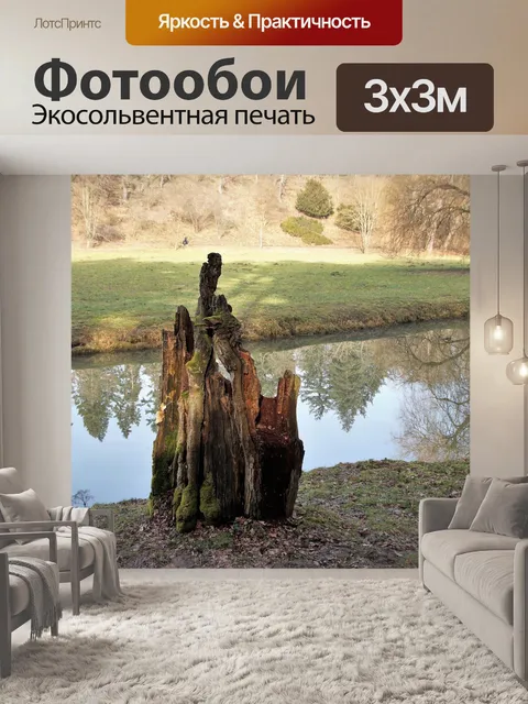 Фотообои Пень