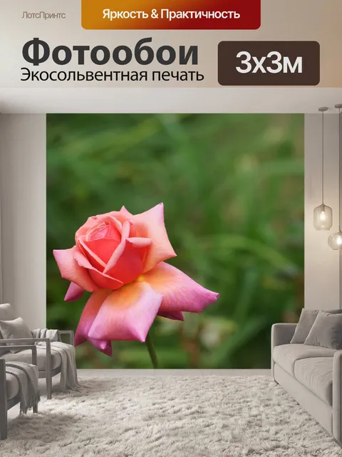 Фотообои Розовый