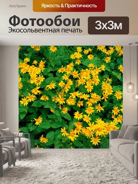 Фотообои Цветы