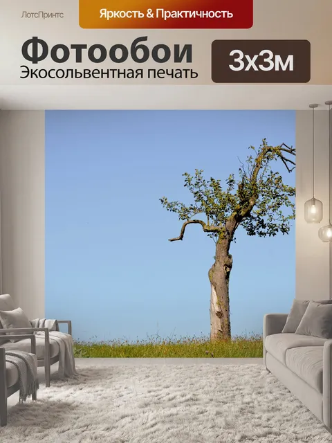 Фотообои Дерево