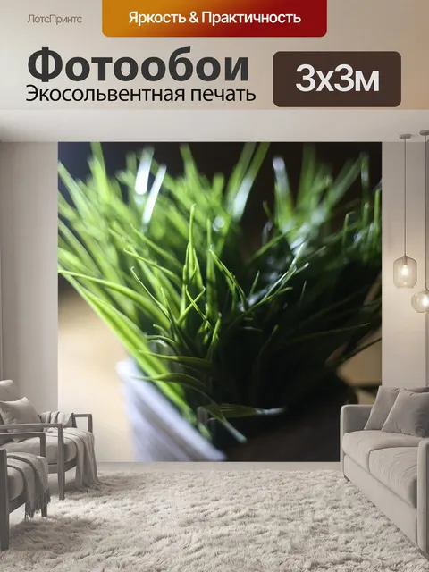 Фотообои Флора
