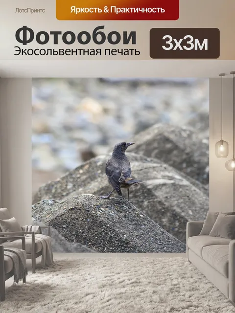 Фотообои Животное