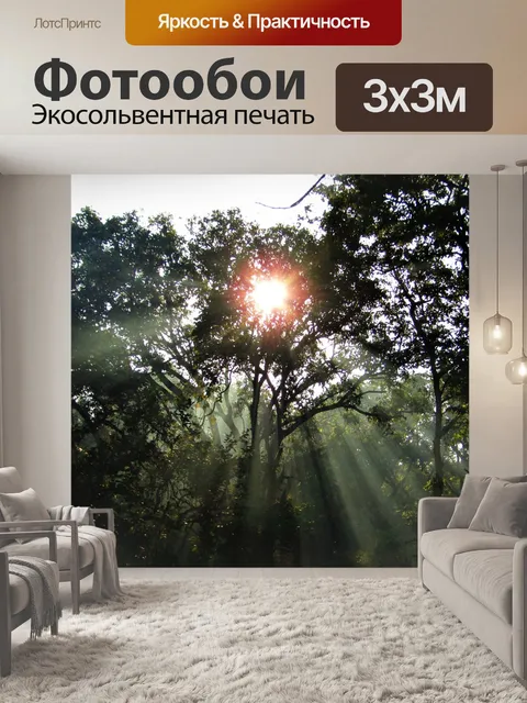 Фотообои Лучи солнца