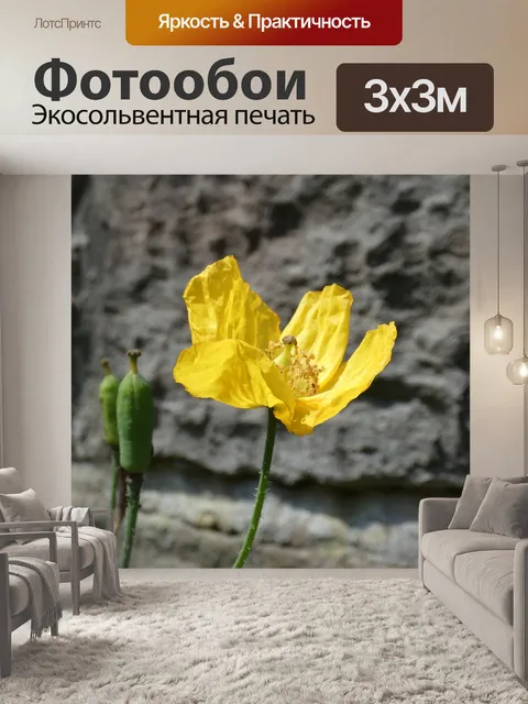 Фотообои Цветок