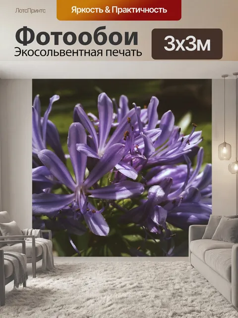 Фотообои Флора