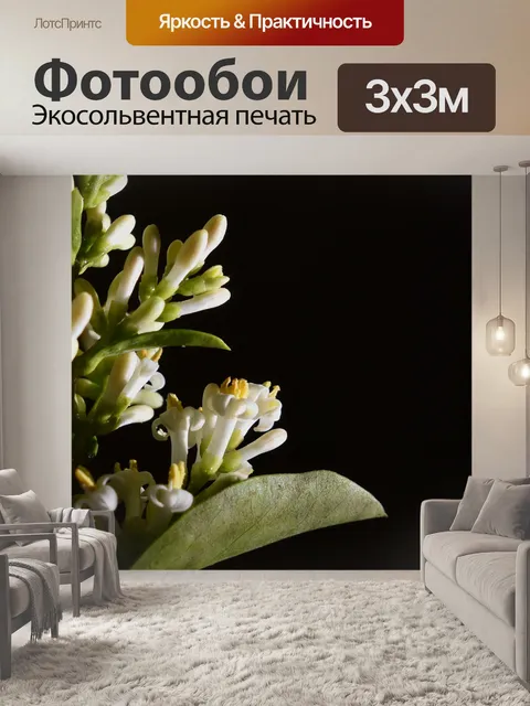 Фотообои Цветы