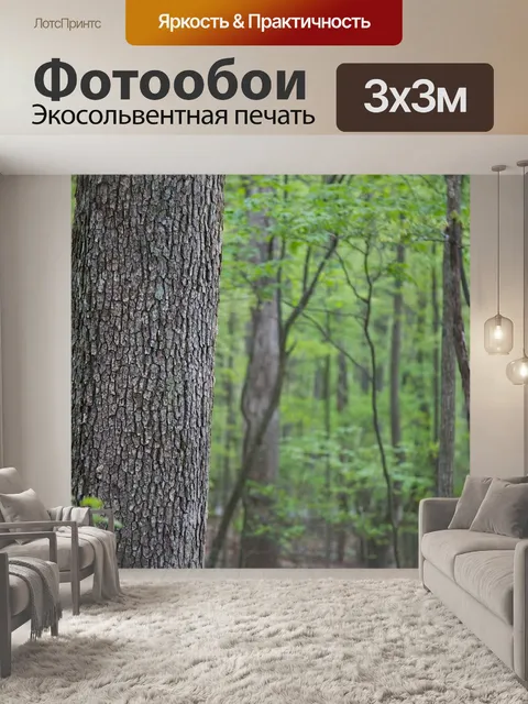 Фотообои Деревья