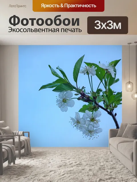 Фотообои Цветок